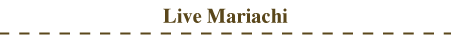 Live Mariachi